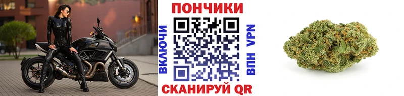 Марихуана Amnesia  Купить закладки  Выборг 